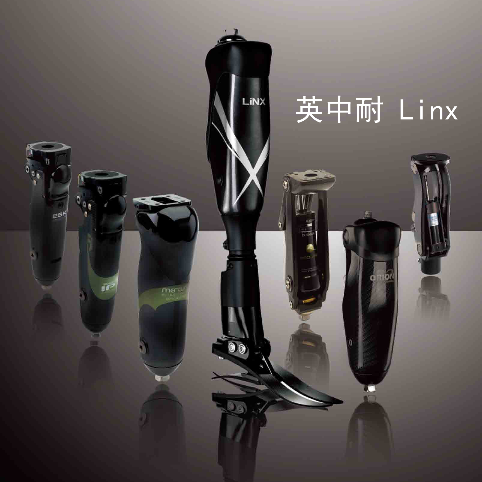 英中耐Linx灵思全智能假肢