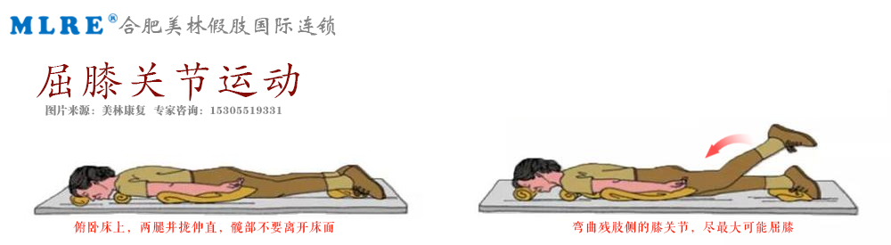 常见问题解答 假肢康复训练问题             伸髋屈膝运动:俯卧位
