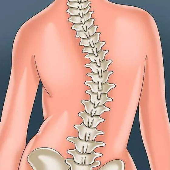 合肥假肢厂脊柱侧弯矫形器定制标准